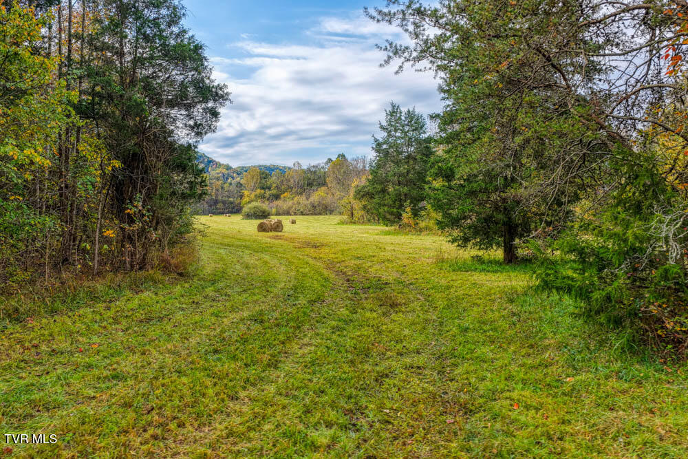 0 Jones Cemetery Road Rogersville, TN 37857 - Photo 50 of 52 Jones Cemetary. Rog MLSa (48 of 50)
