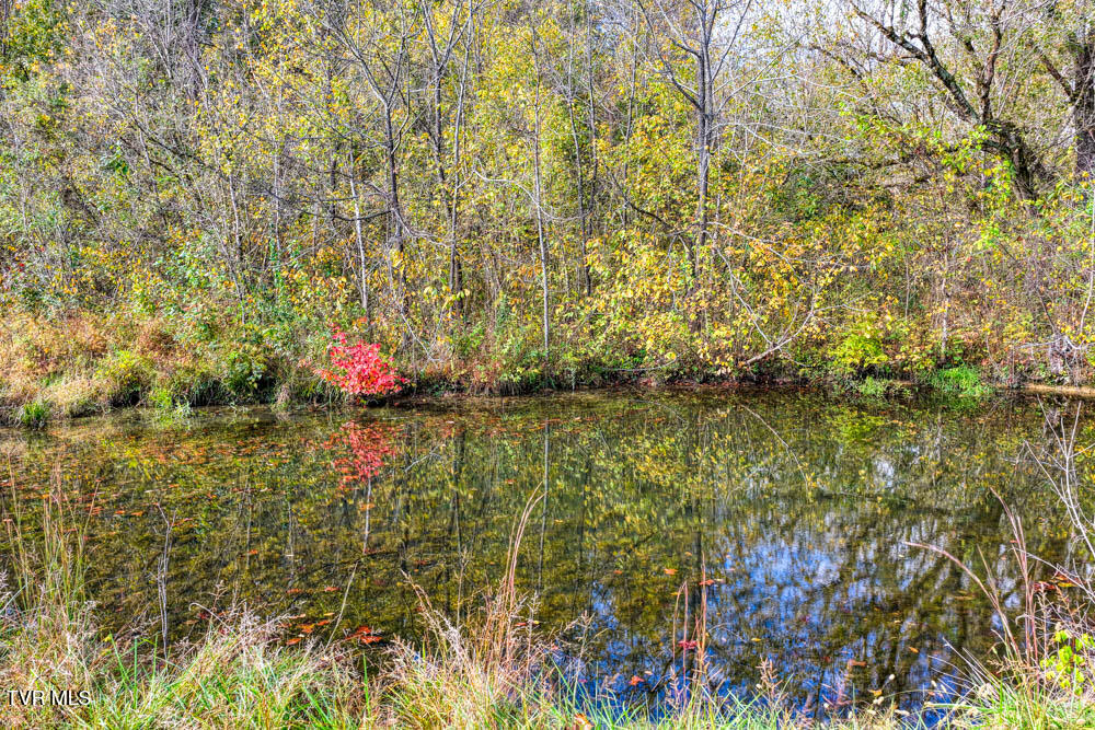 0 Jones Cemetery Road Rogersville, TN 37857 - Photo 8 of 52 Jones Cemetary. Rog MLSa (5 of 50)