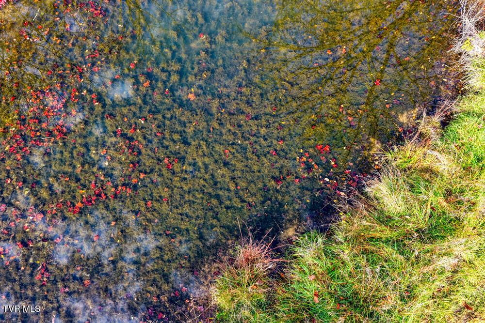 0 Jones Cemetery Road Rogersville, TN 37857 - Photo 9 of 52 Jones Cemetary. Rog MLSa (6 of 50)