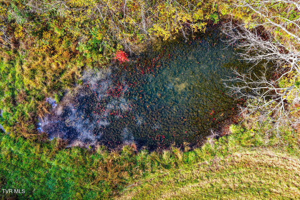 0 Jones Cemetery Road Rogersville, TN 37857 - Photo 10 of 52 Jones Cemetary. Rog MLSa (7 of 50)