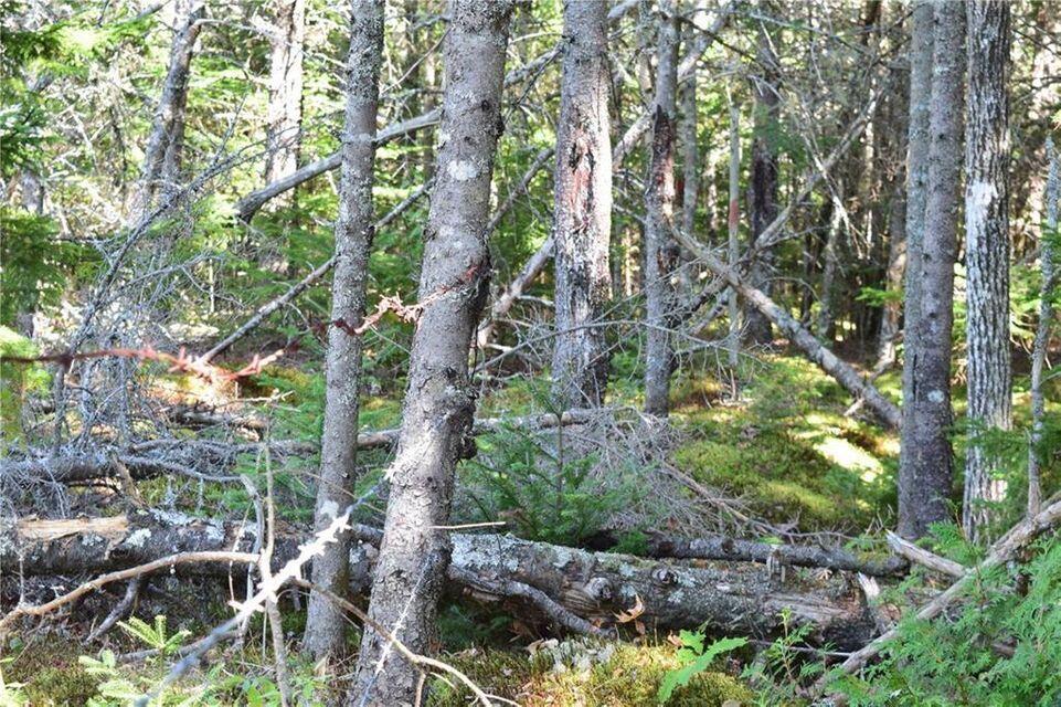 M8-l53a North Lubec Road Lubec, ME 04652 - Photo 16 of 37 16