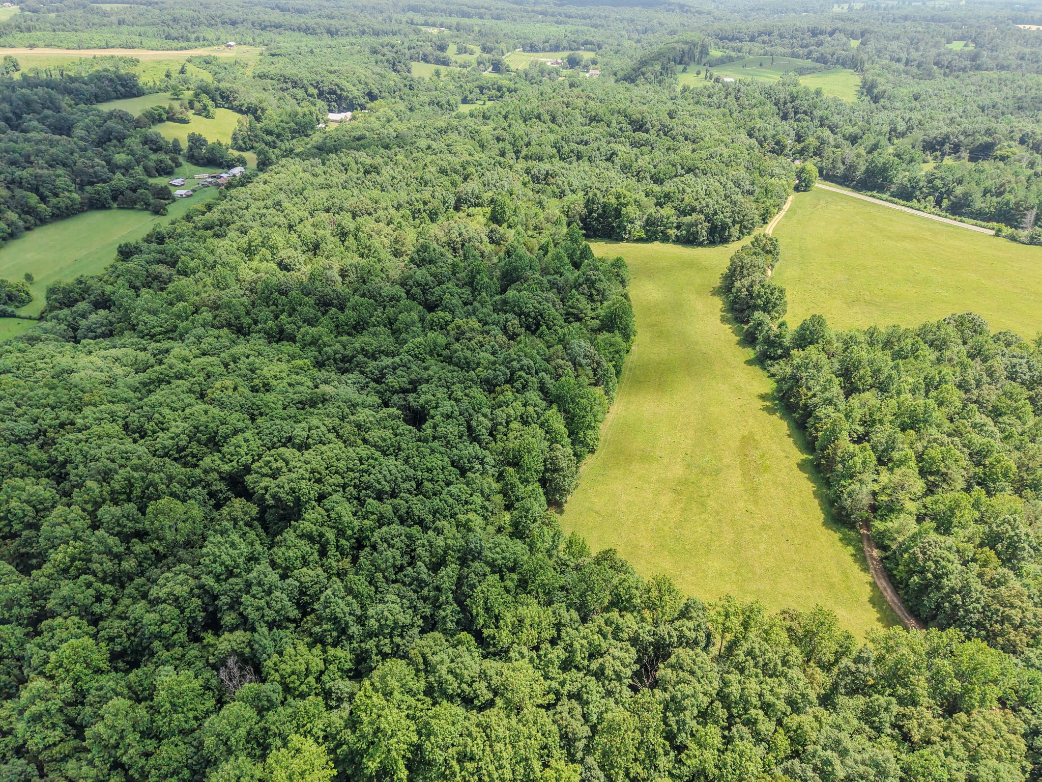 215 Clear Creek Road Leoma, TN 38468 - Photo 9 of 13