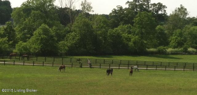 810 Leesburg Road Georgetown, KY 40324 - Photo 28 of 31 IMG_2756
