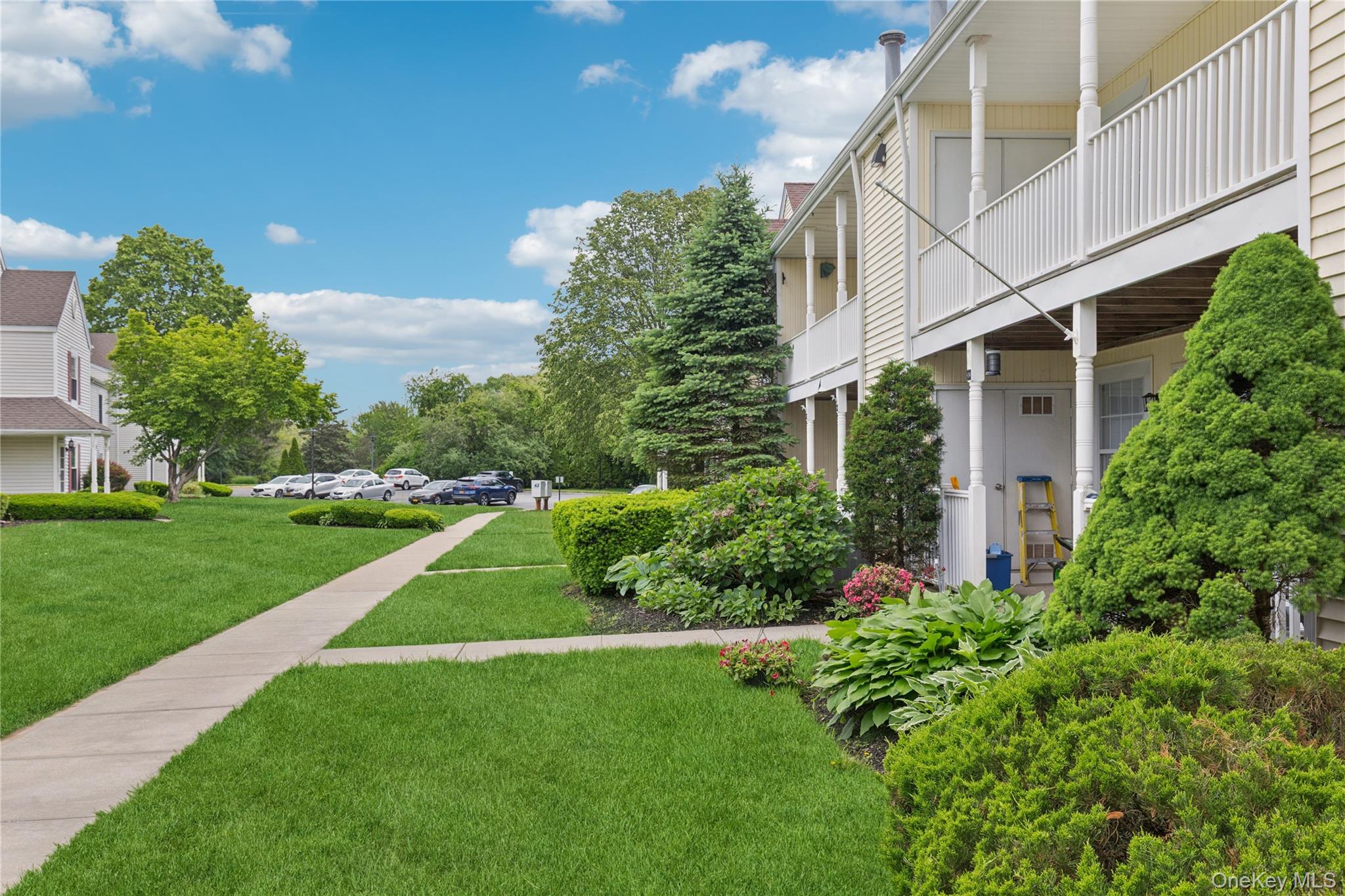 241 Fairview Circle Middle Island, NY 11953 - Photo 22 of 24 a view of a back yard of the house