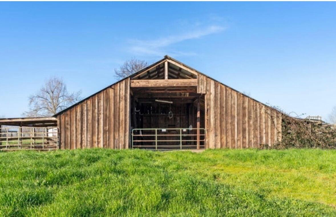 a view of outdoor space and yard