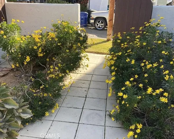 a picture of flowers