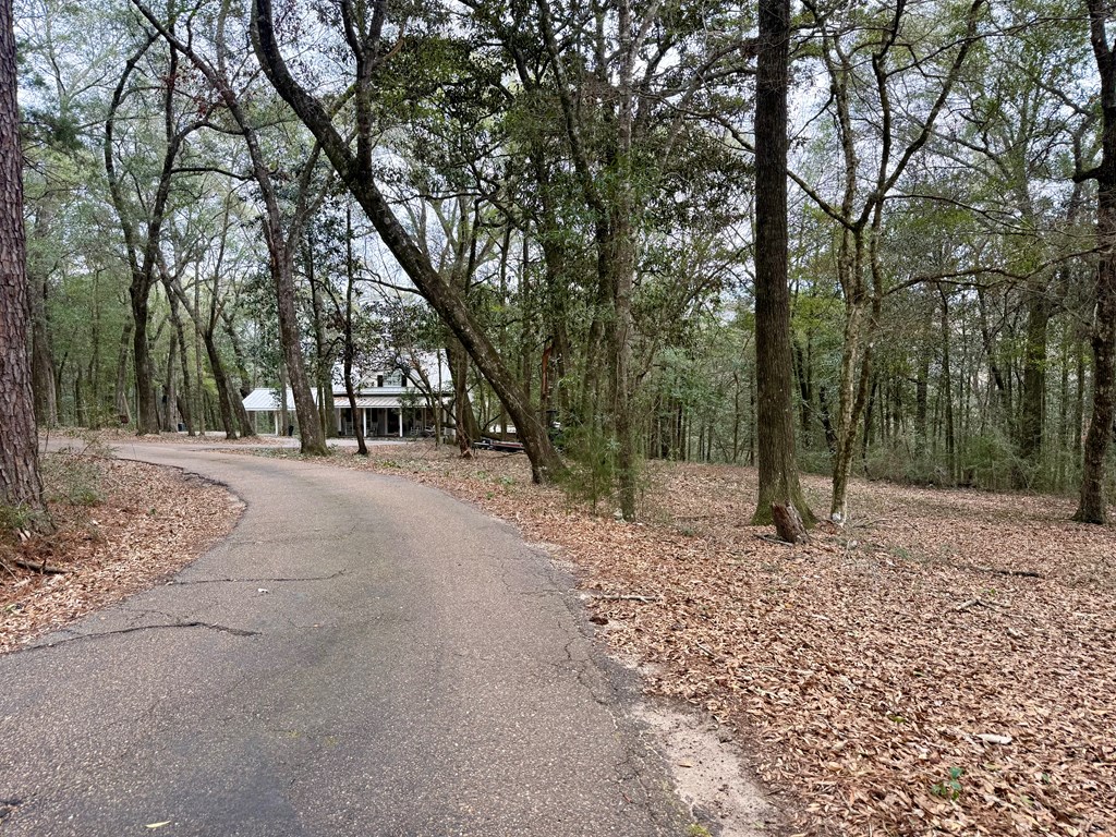 836 Campbell Road Hartford, AL 36344 - Photo 24 of 41