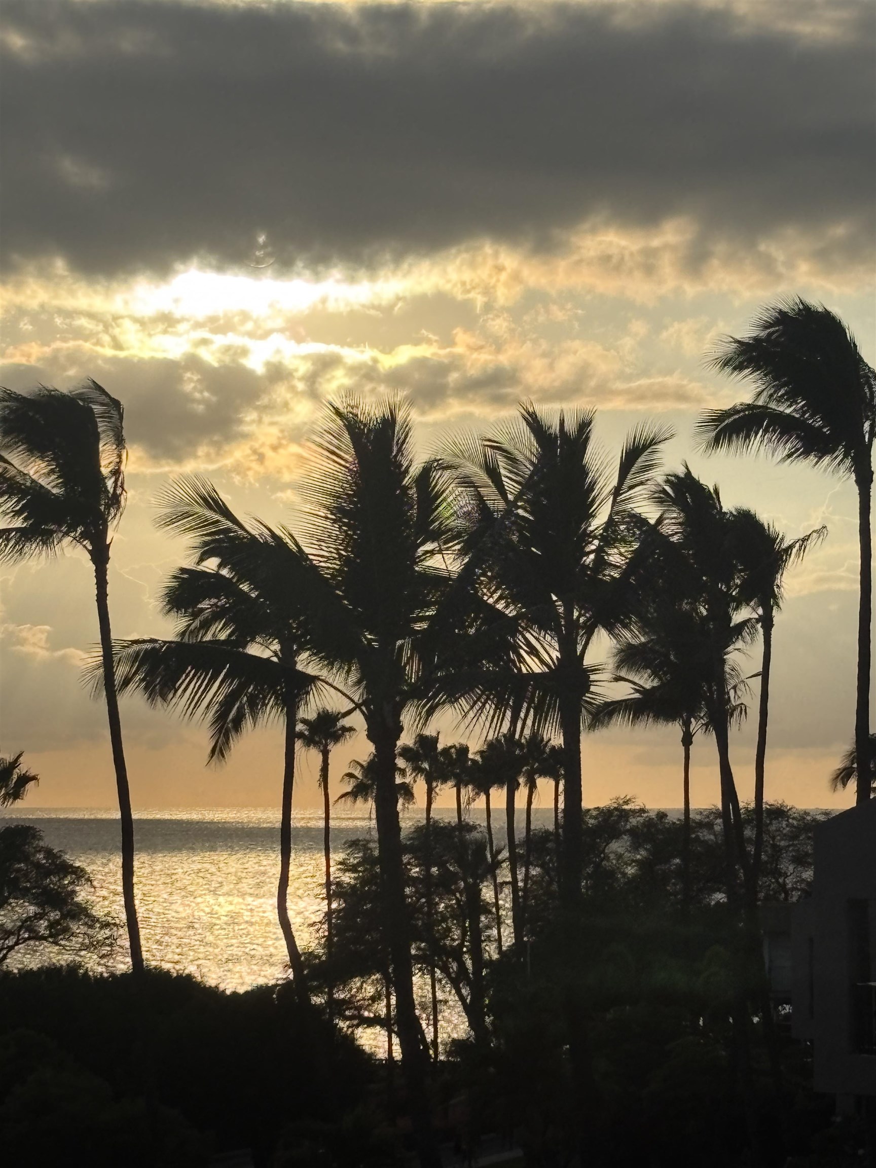 2695 South Kihei Road, Unit 3403 Kihei, HI 96753 - Photo 39 of 41 a view of ocean view