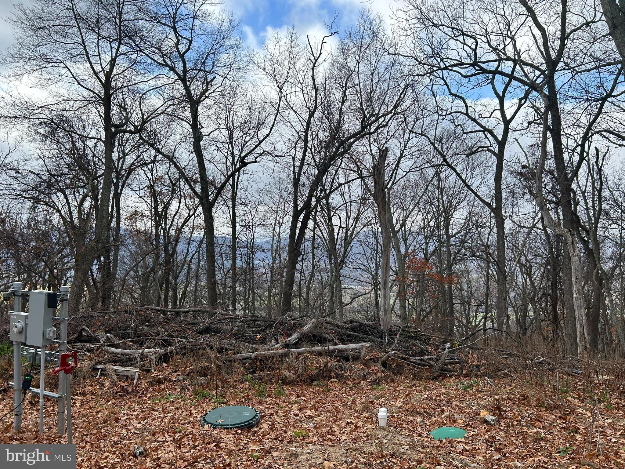 High Knob Old Fields Old Fields, WV 26845 - Photo 1 of 5