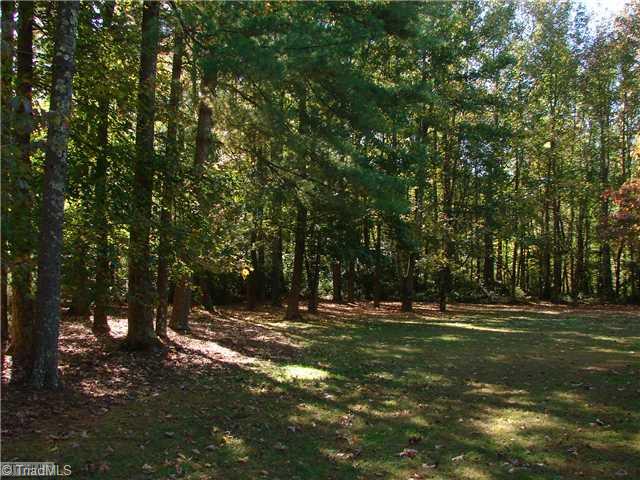 6103 Pintail Court Oak Ridge, NC 27310 - Photo 2 of 14 Land/Lot.