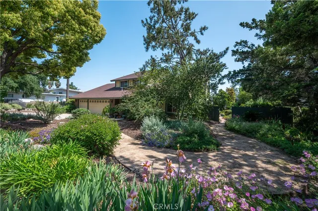 a view of a garden with plants and large trees