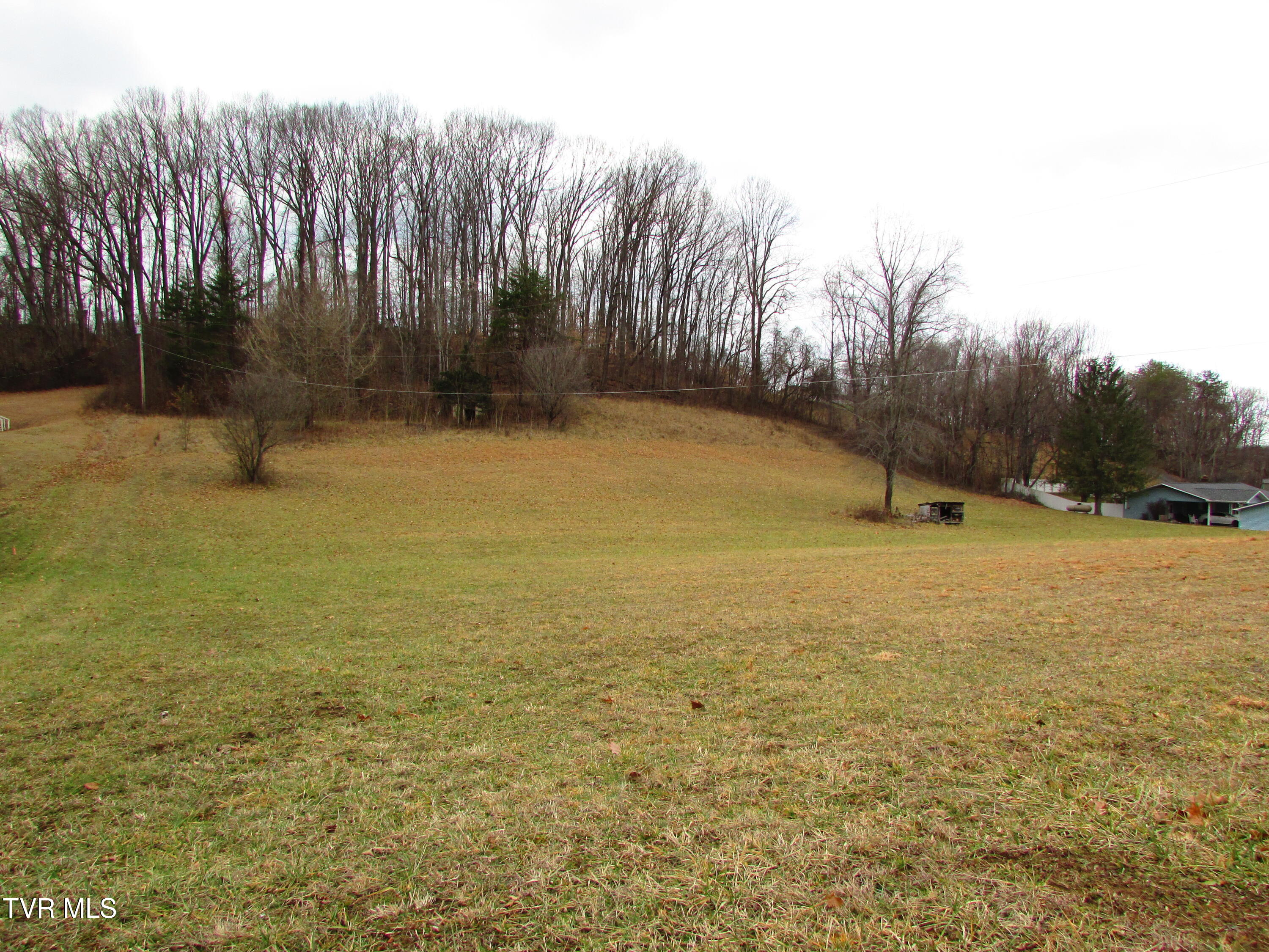 186 Rock House Road Johnson City, TN 37601 - Photo 8 of 8 IMG_3071