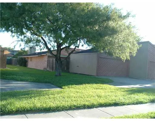 a backyard of a house with plants and a large tree