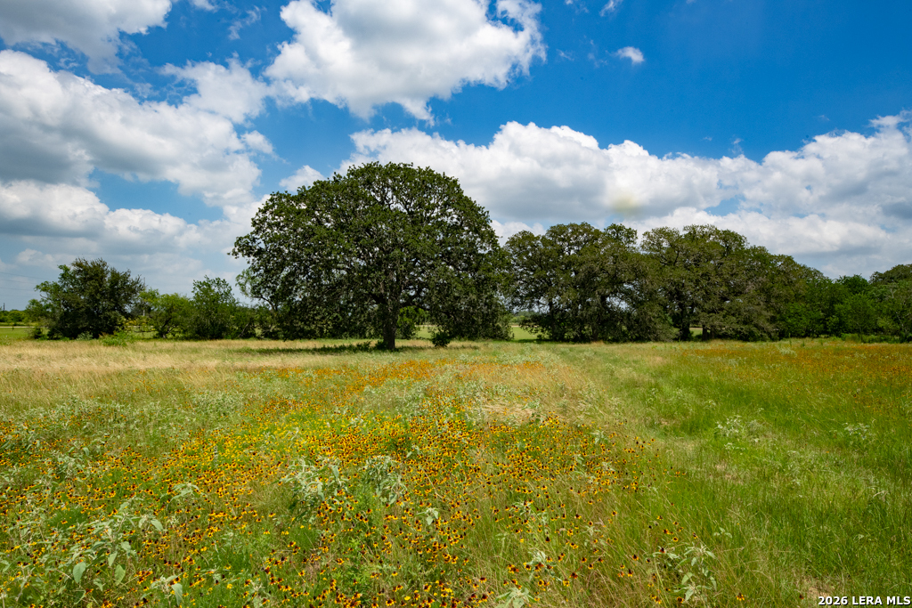 1393 Fox Trotter Road Seguin, TX 78155 - Photo 21 of 46