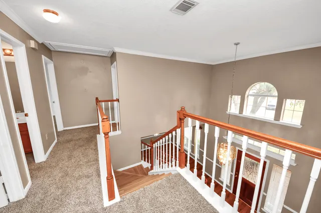 a view of staircase with rug floor