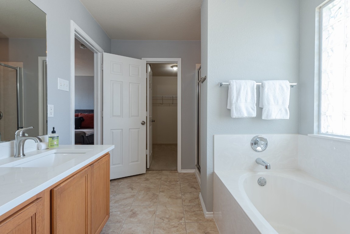 1519 Davis Mountain Loop Cedar Park, TX 78613 - Photo 23 of 39 a bathroom with a tub sink and mirror