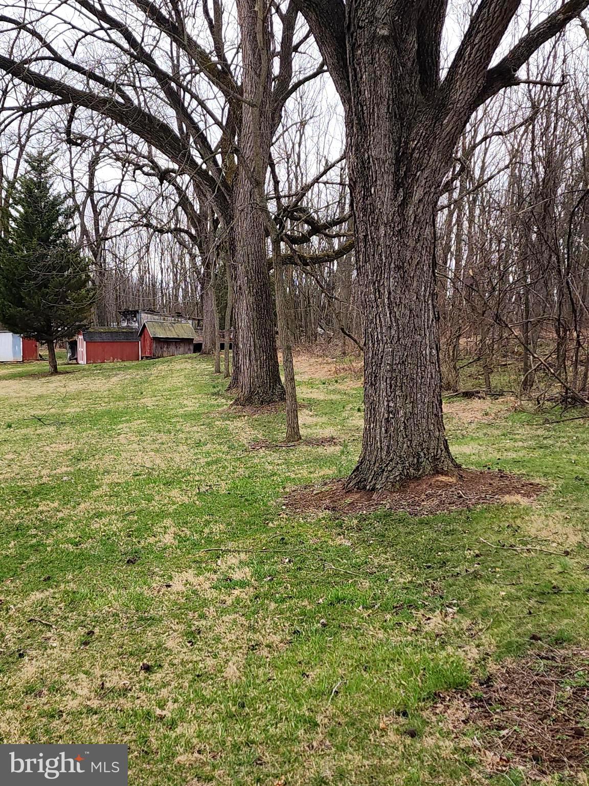 1376 Nolts Road Chambersburg, PA 17202 - Photo 14 of 15 a view of a garden with a tree
