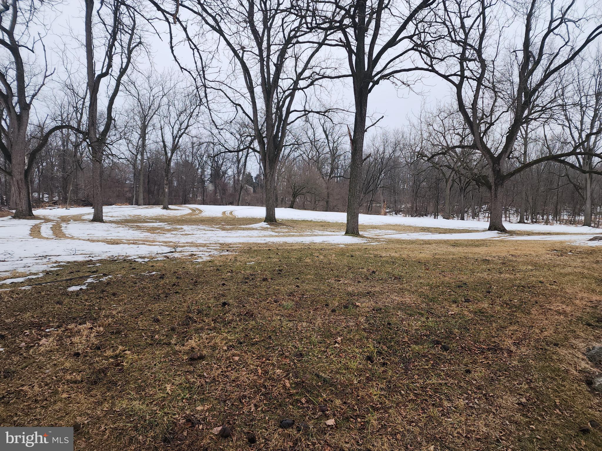1376 Nolts Road Chambersburg, PA 17202 - Photo 15 of 15 a backyard of water with palm trees