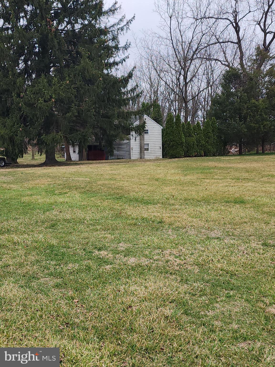1376 Nolts Road Chambersburg, PA 17202 - Photo 8 of 15 a picture of trees and outdoor space