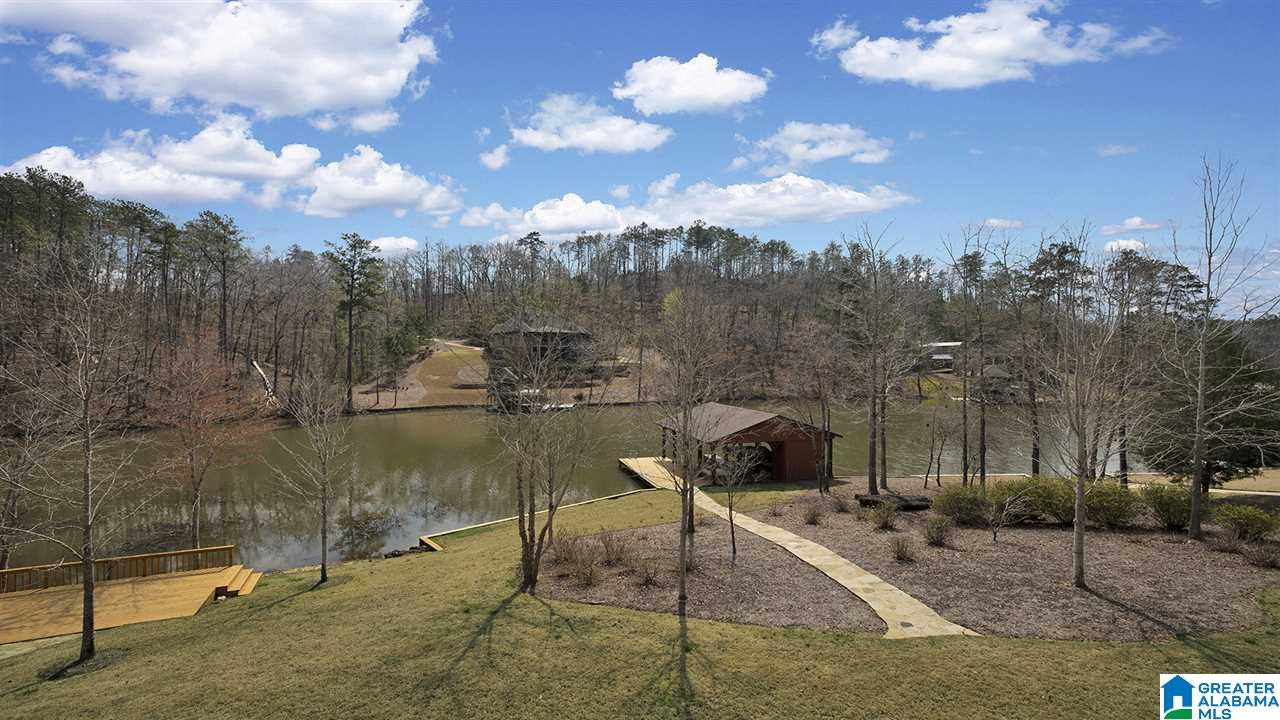 256 Big Y Cv Loop Rockford, AL 35136 - Photo 5 of 50