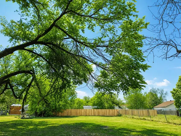 a view of a big yard with large trees