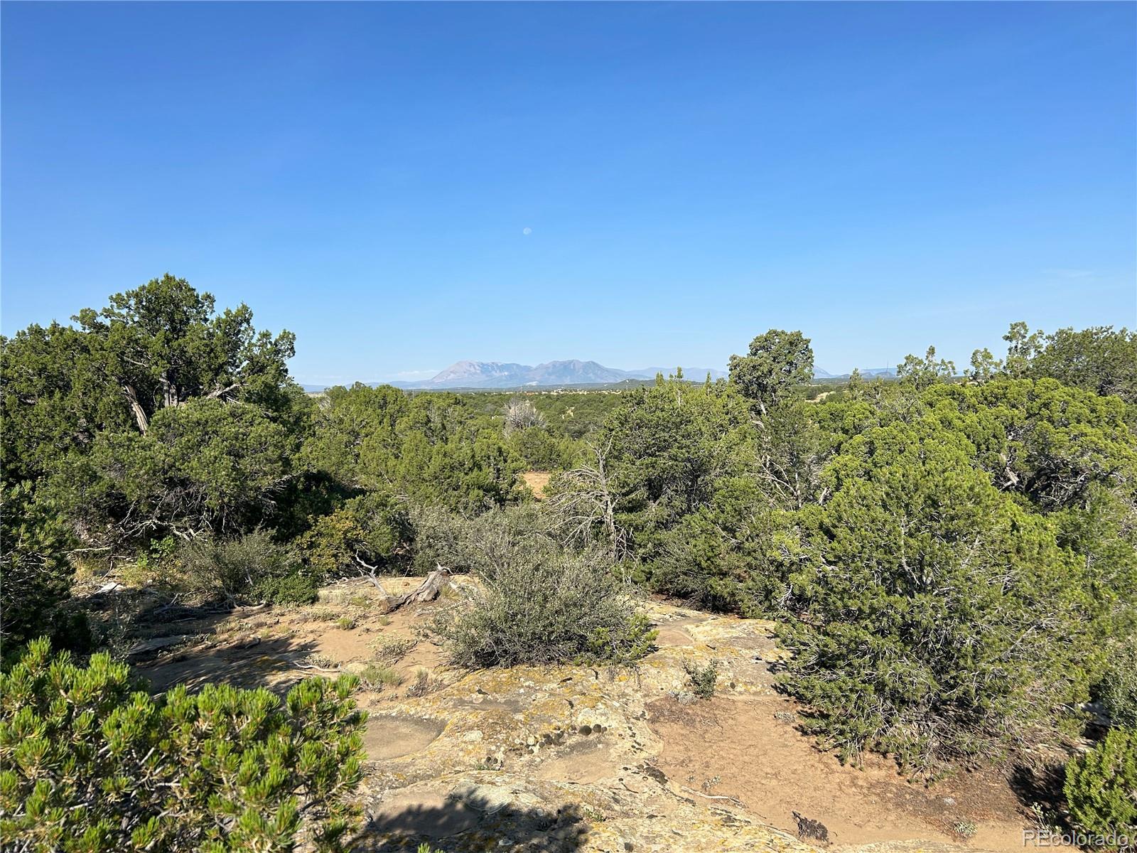 Lot 905 Rio Cucharas Phs 3 Walsenburg, CO 81089 - Photo 11 of 14 a view of a yard with a tree