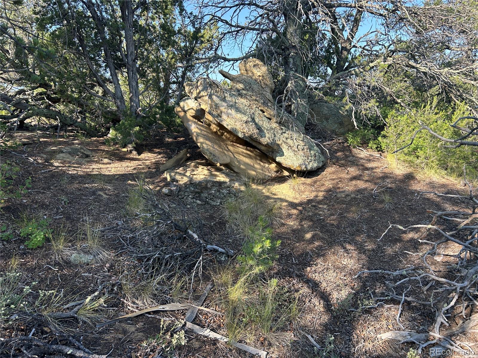 Lot 905 Rio Cucharas Phs 3 Walsenburg, CO 81089 - Photo 8 of 14