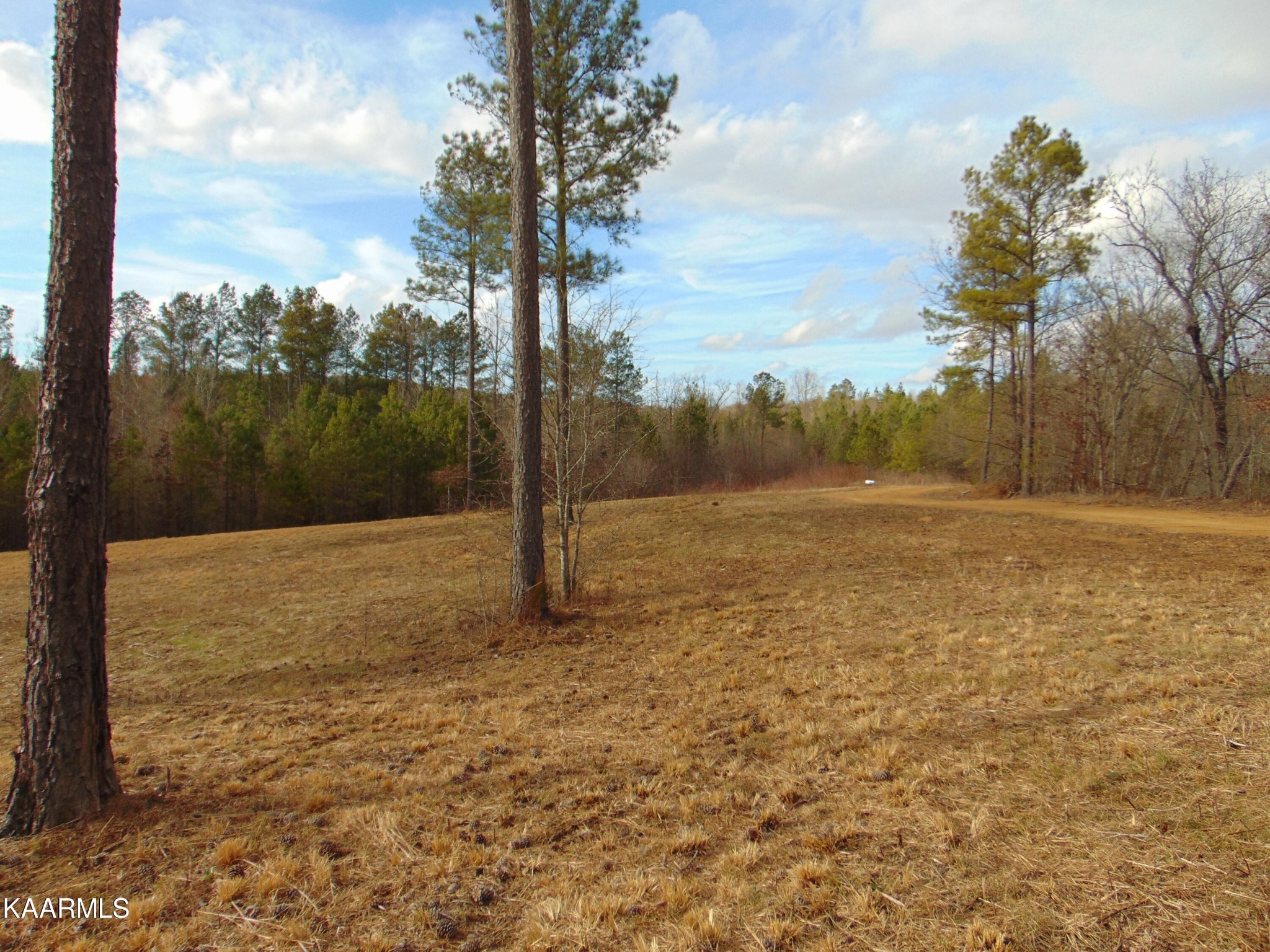 11 Athens Road Calhoun, TN 37309 - Photo 37 of 59 Gallery Image 37