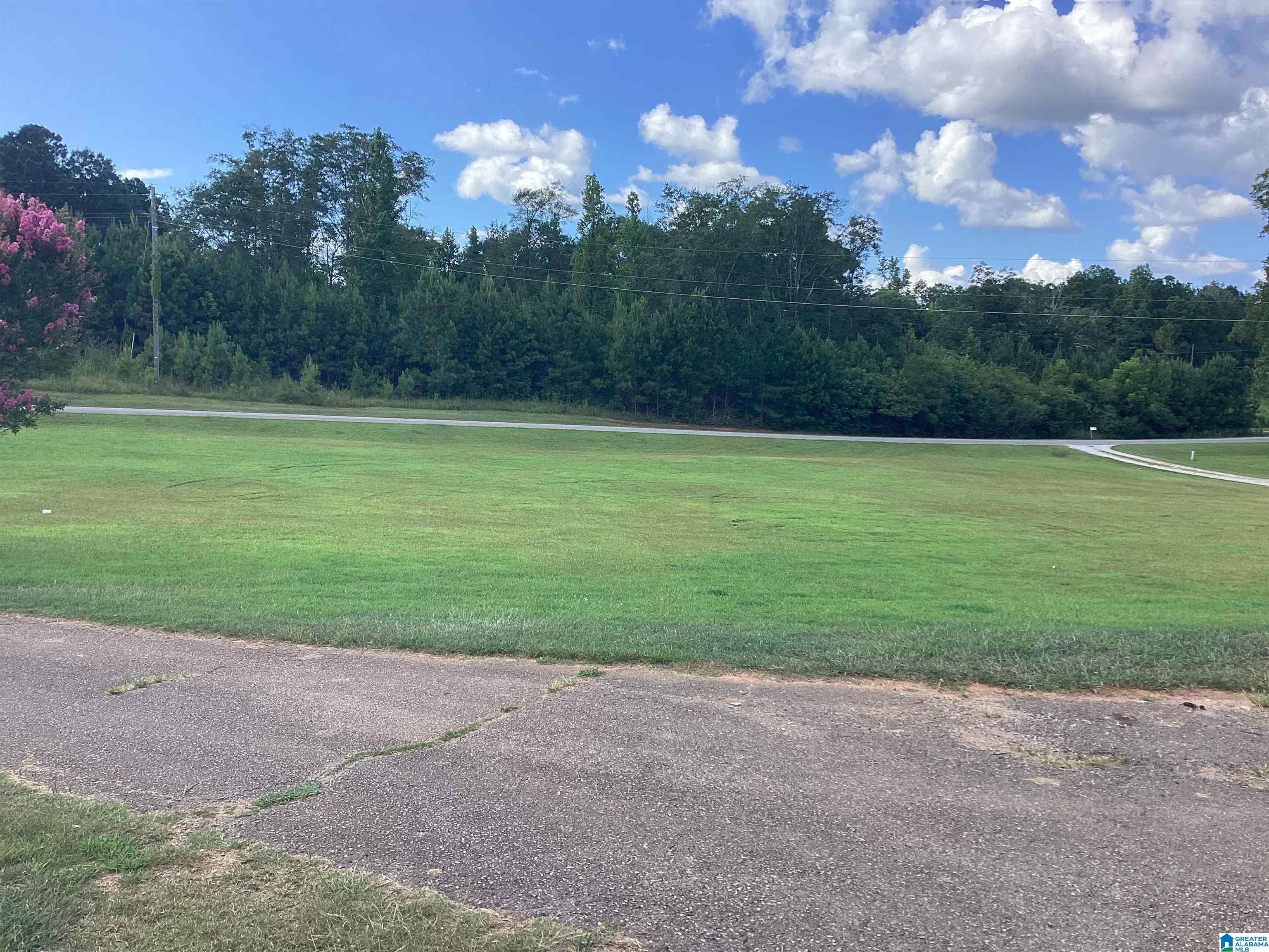 1725 Owens Road Ashland, AL 36251 - Photo 16 of 16