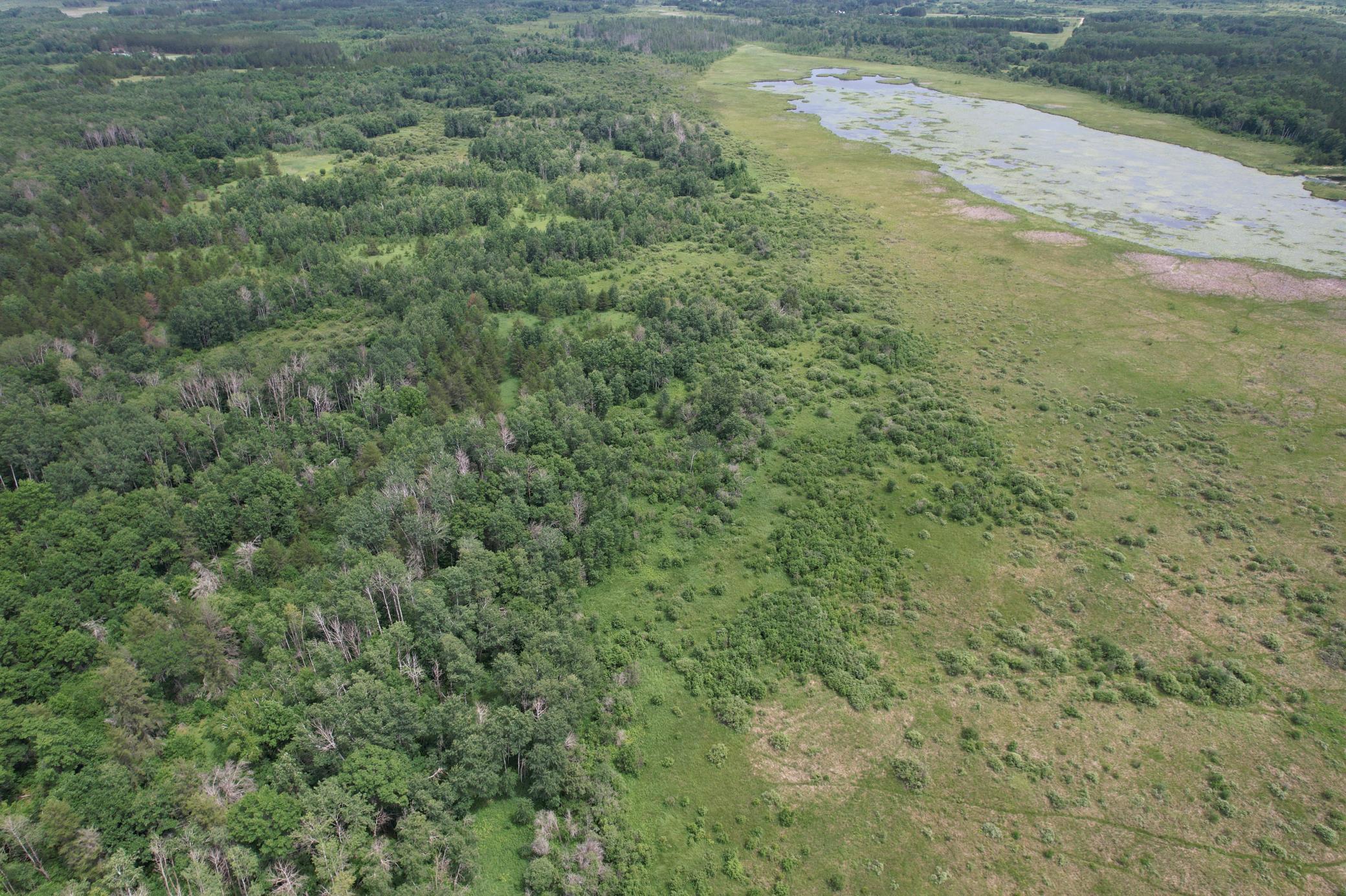 Tbd 350th Street Sebeka, MN 56477 - Photo 18 of 100