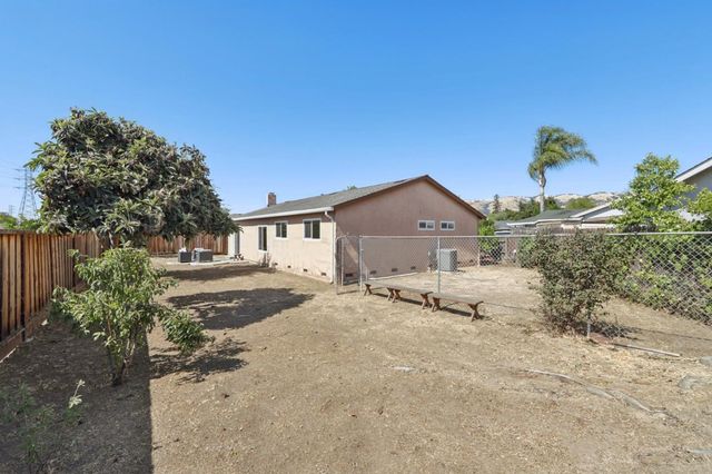 a view of a backyard with large trees and wooden fence