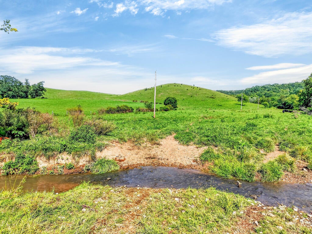 Tbd Peppers Ferry Road, Unit TRACT 4 Wytheville, VA 24382 - Photo 36 of 63 Gallery Image 36
