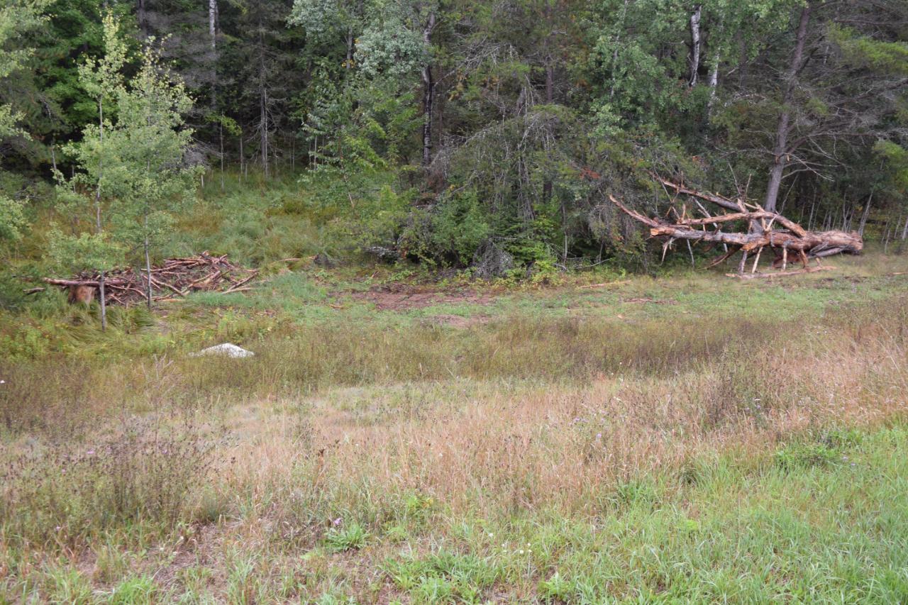 4491 River Bend Road Rhinelander, WI 54501 - Photo 10 of 31 Gallery Image 10