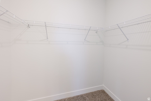 4653 South Alder Drive, Unit H303 Mapleton, UT 84664 - Photo 11 of 15 Walk in closet featuring carpet floors