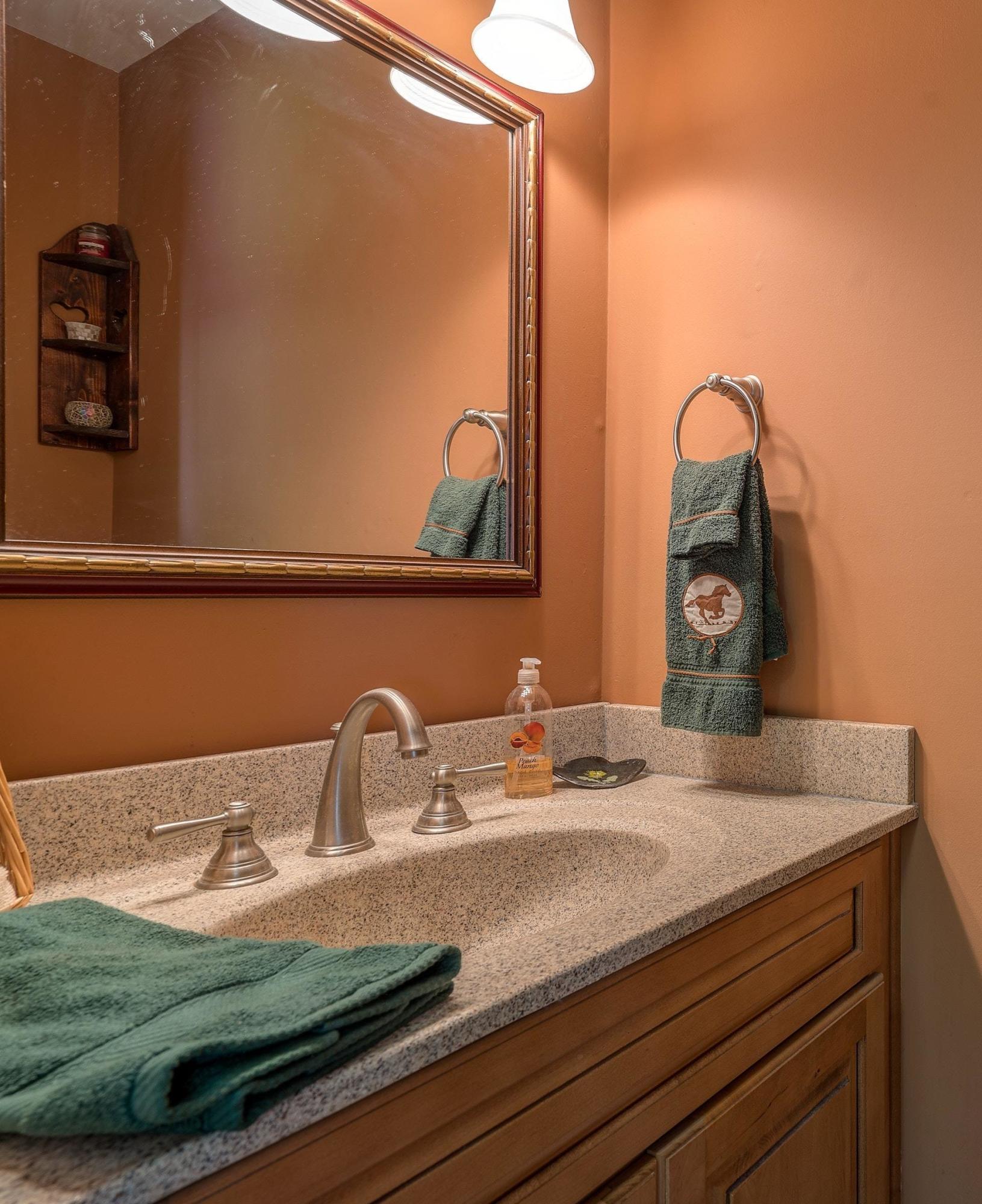 1919 Pico Road Buchanan, VA 24066 - Photo 28 of 48 21a Half Bath