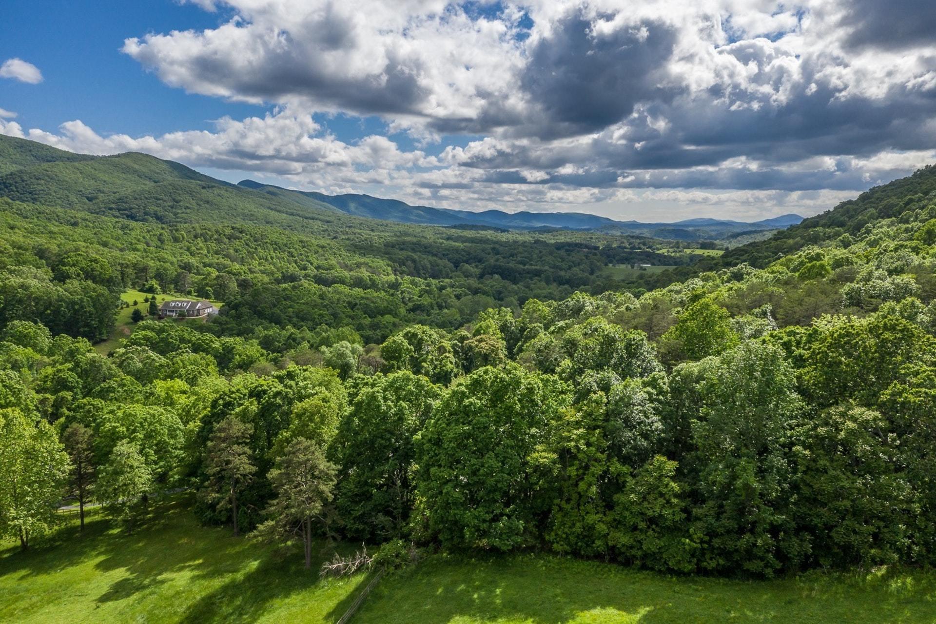 1919 Pico Road Buchanan, VA 24066 - Photo 42 of 48 042-312220-05132019-20_7721043