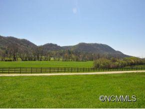 0 Cane Creek Road Fletcher, NC 28732 - Photo 13 of 22 Gallery Image 13