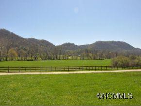 0 Cane Creek Road Fletcher, NC 28732 - Photo 17 of 22 Gallery Image 17