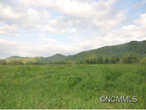 0 Cane Creek Road Fletcher, NC 28732 - Photo 19 of 22 Gallery Image 19