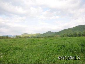 0 Cane Creek Road Fletcher, NC 28732 - Photo 20 of 22 Gallery Image 20