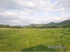 0 Cane Creek Road Fletcher, NC 28732 - Photo 3 of 22 Gallery Image 3