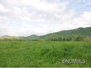 0 Cane Creek Road Fletcher, NC 28732 - Photo 21 of 22 Gallery Image 21