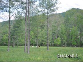 0 Cane Creek Road Fletcher, NC 28732 - Photo 22 of 22 Gallery Image 22