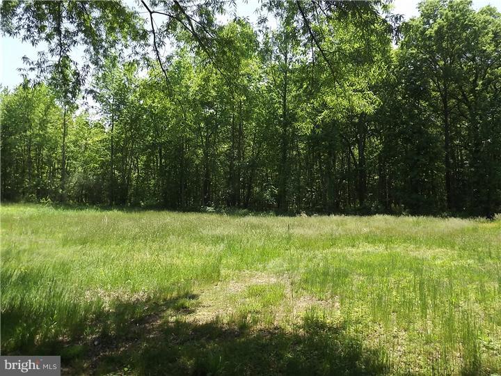964 Hawks Bridge Road Mannington, NJ 08079 - Photo 4 of 13