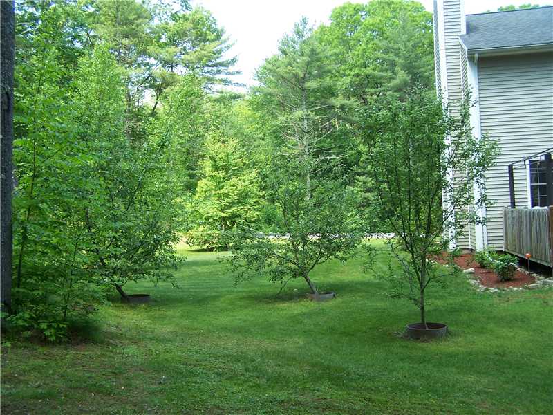 137 Dye Hill Road Hopkinton, RI 02832 - Photo 16 of 18 Yard/Garden.