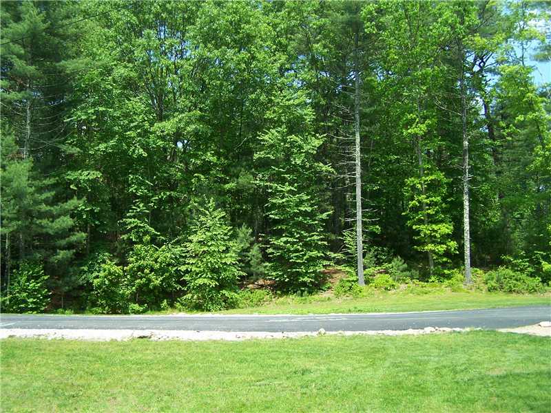 137 Dye Hill Road Hopkinton, RI 02832 - Photo 17 of 18 Yard/Garden.