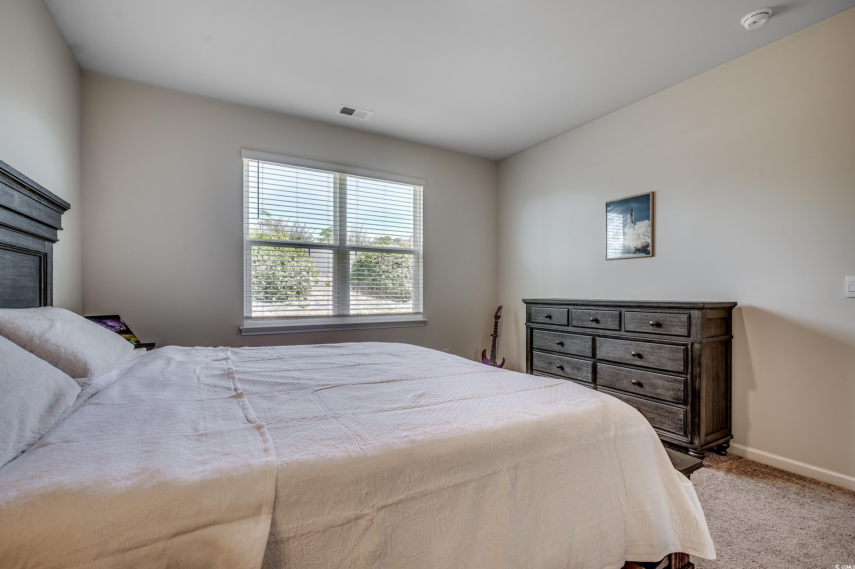 2924 Skylar Drive Myrtle Beach, SC 29577 - Photo 13 of 30 Carpeted bedroom featuring baseboards