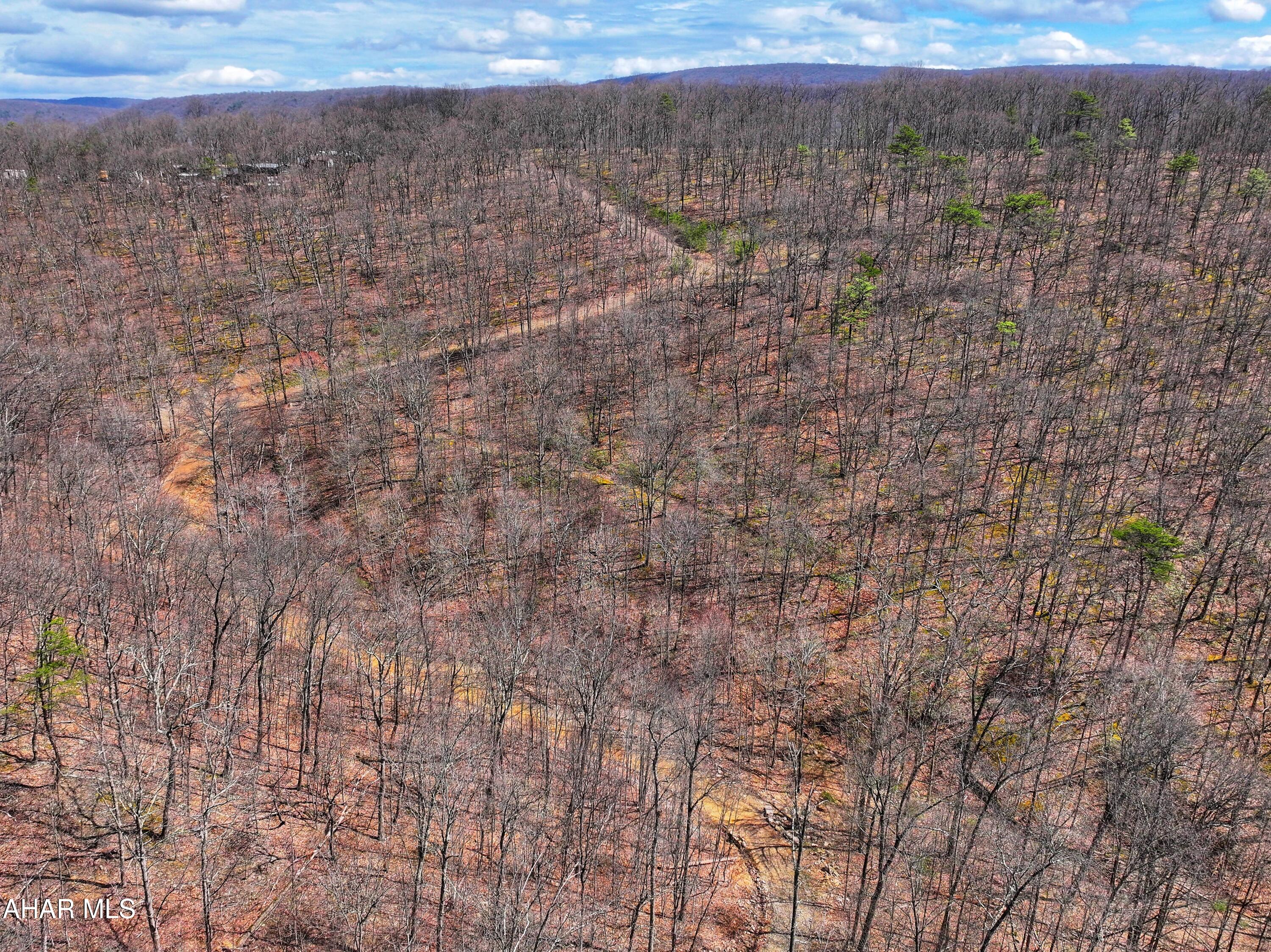 0 Pine Ridge Road Saxton, PA 16678 - Photo 8 of 23
