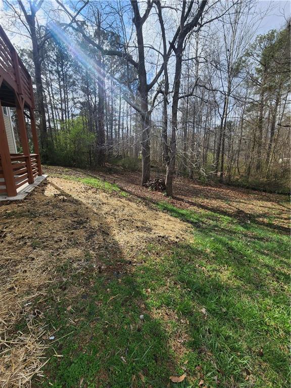 300 Overland Trail Temple, GA 30179 - Photo 7 of 35 a view of a yard with plants and trees