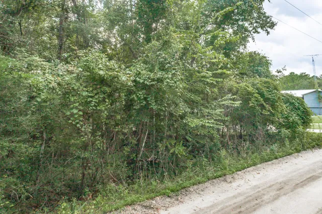 $140,000 | Xxxx Xxxx Gibson Road Common, Sopchoppy, FL 32358